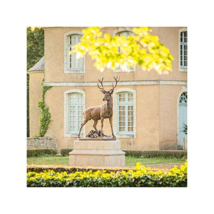 Chateau D'Ardenay Sur Merize Zewnętrze zdjęcie